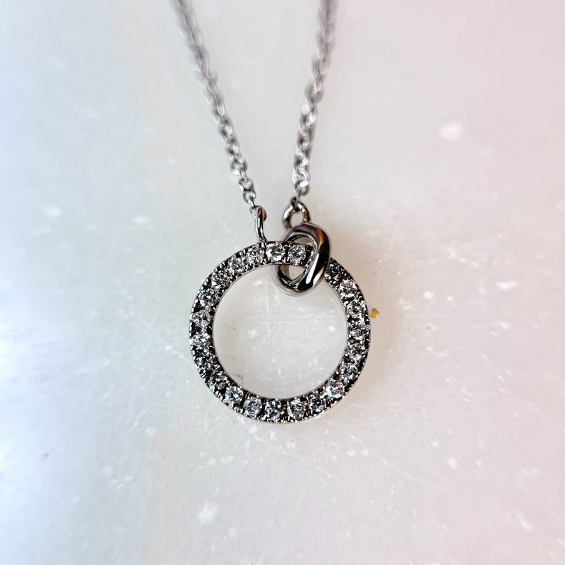 JG303765  14k White Gold Diamond Double Circle Necklace