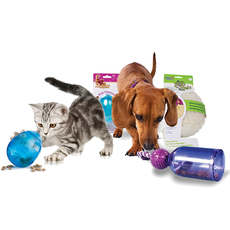 Toys & Wellness Products