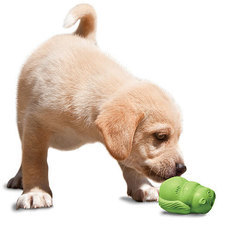 All Dog Products