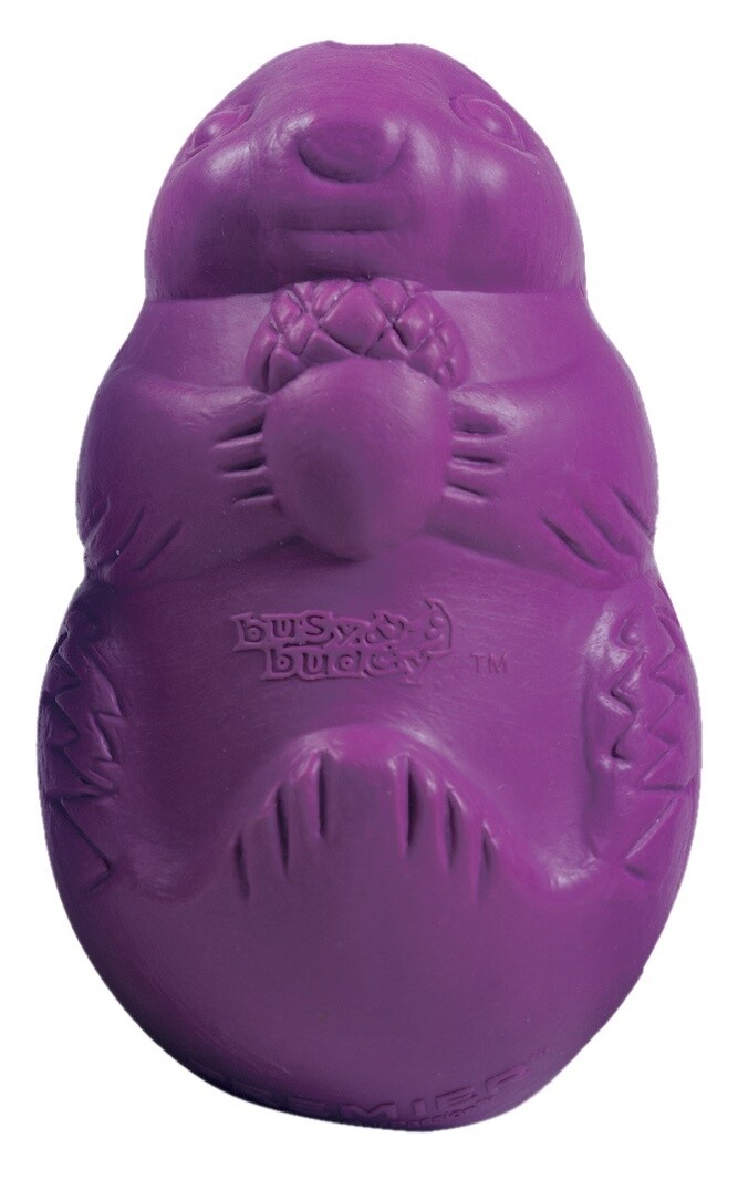 PetSafe® Busy Buddy® Squirrel Dude, Size: SMALL