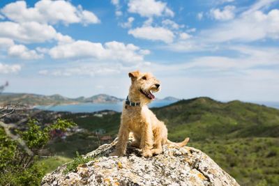 KURGO - Outdoor and Travel