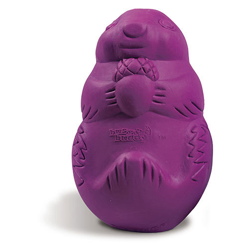 PetSafe® Busy Buddy® Squirrel Dude
