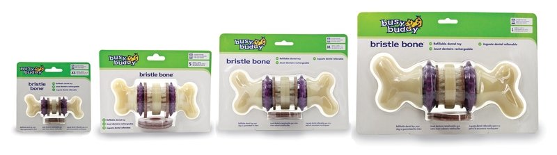 PetSafe® Busy Buddy® Bristle Bone