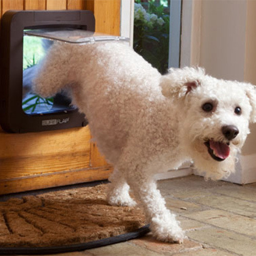 Pet door rfid sale