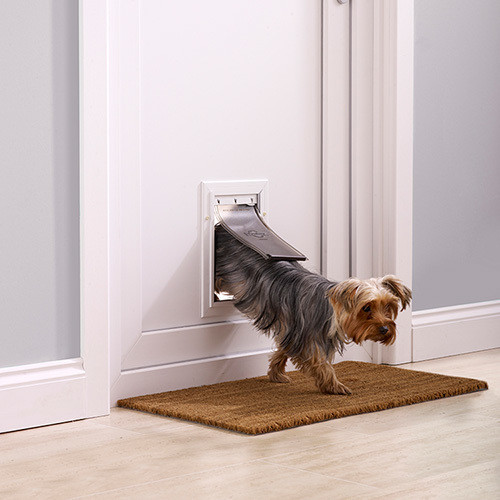 Pet Doors awesome flexibility for you and your furry friends
