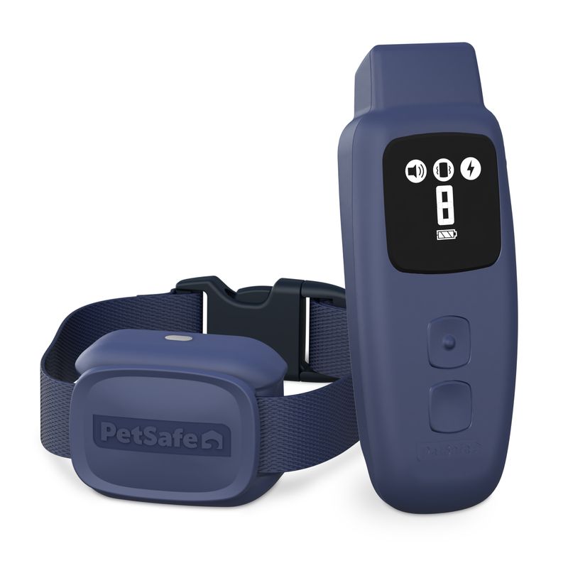 PetSafe® Basic Dog Trainer with Remote