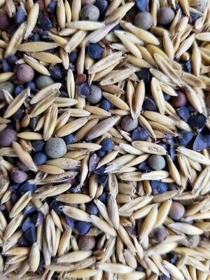 Cover Crop Seed