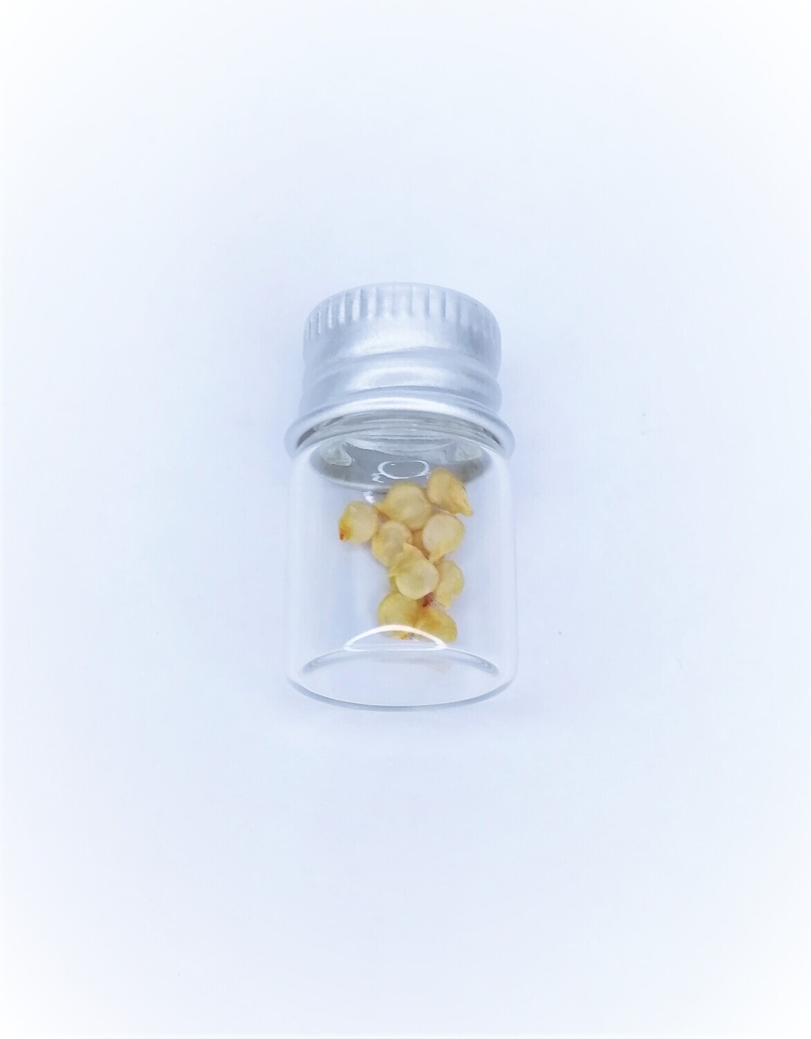 Carolina Reaper Seeds (Vial with 10 Seeds)