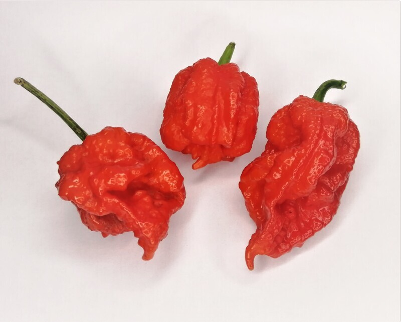 Carolina Reaper Pods (Dried)