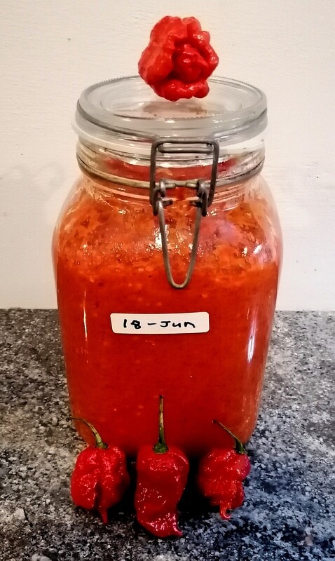 Pure Carolina Reaper Mash (1 Year Ferment)
