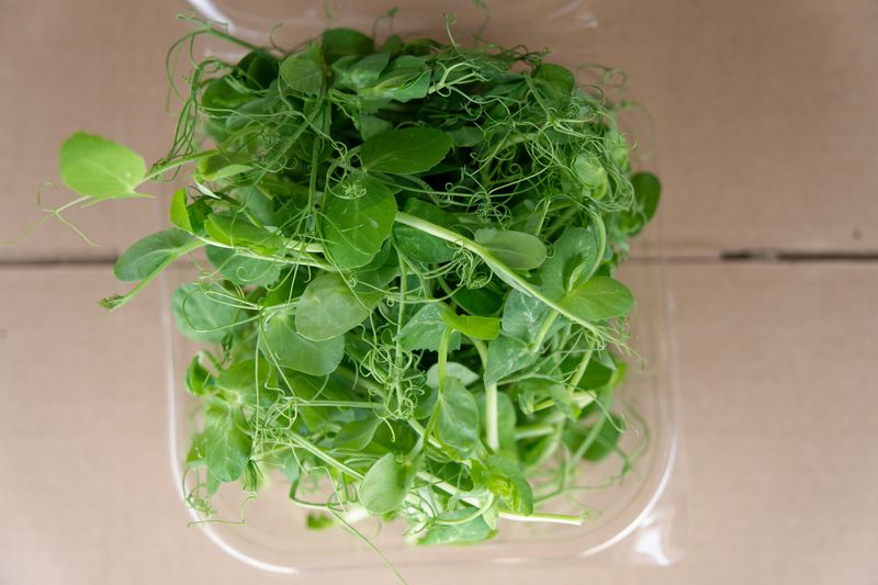 Microgreens: Peashoots (Pre-Order Only)