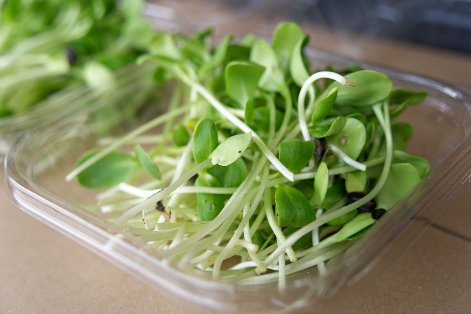Sunflower Shoots (Pre-Order Only)