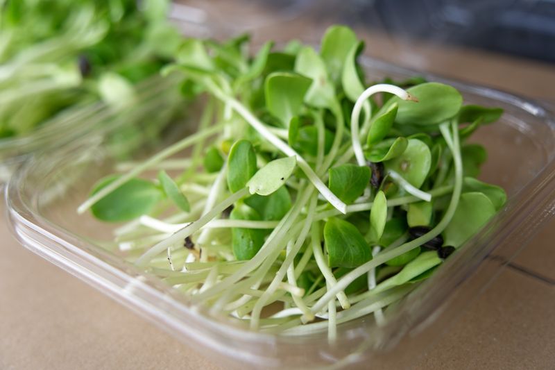 Sunflower Shoots (Pre-Order Only)