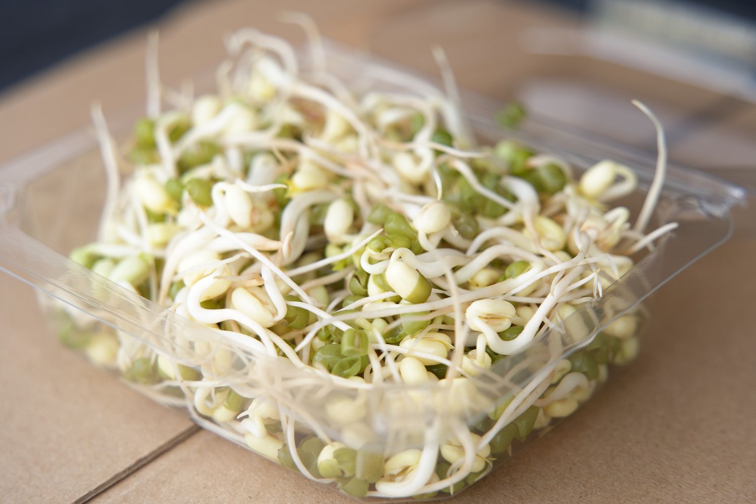 ​Mungbean Sprouts  (Pre Order-Only)
