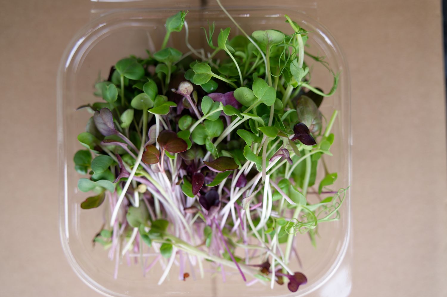 Mixed Microgreens (Pre-Order Only)
