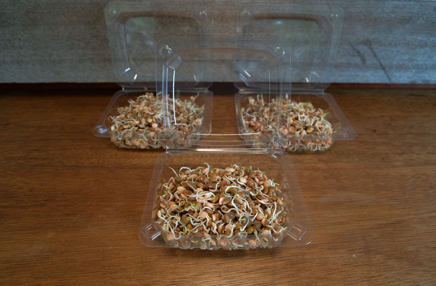 ​Lentil sprouts (Pre-Order Only)