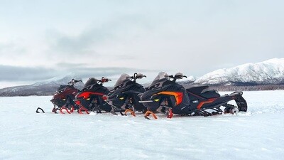 Lynx 2025