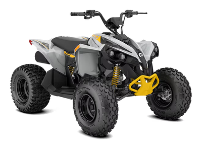 2025 CAN-AM RENEGADE 110 EFI