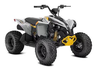 2026 CAN-AM RENEGADE 110 EFI