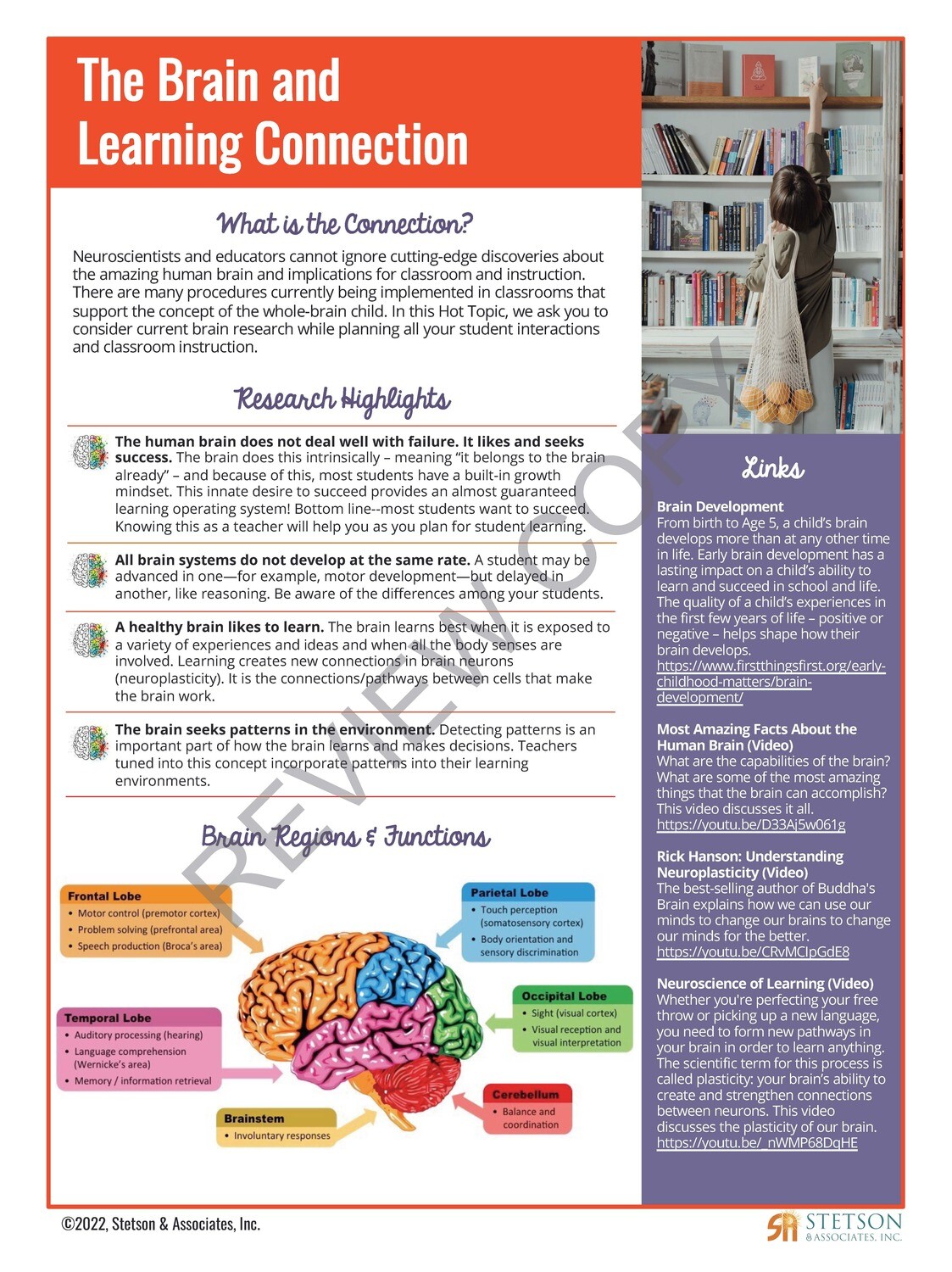 The Brain and Learning Connection Information Card