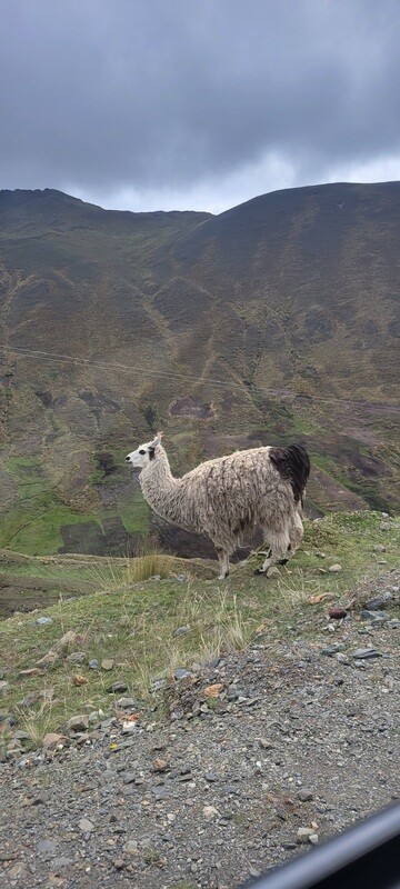 🌟 Cusco Experiential Tour Package 🌟