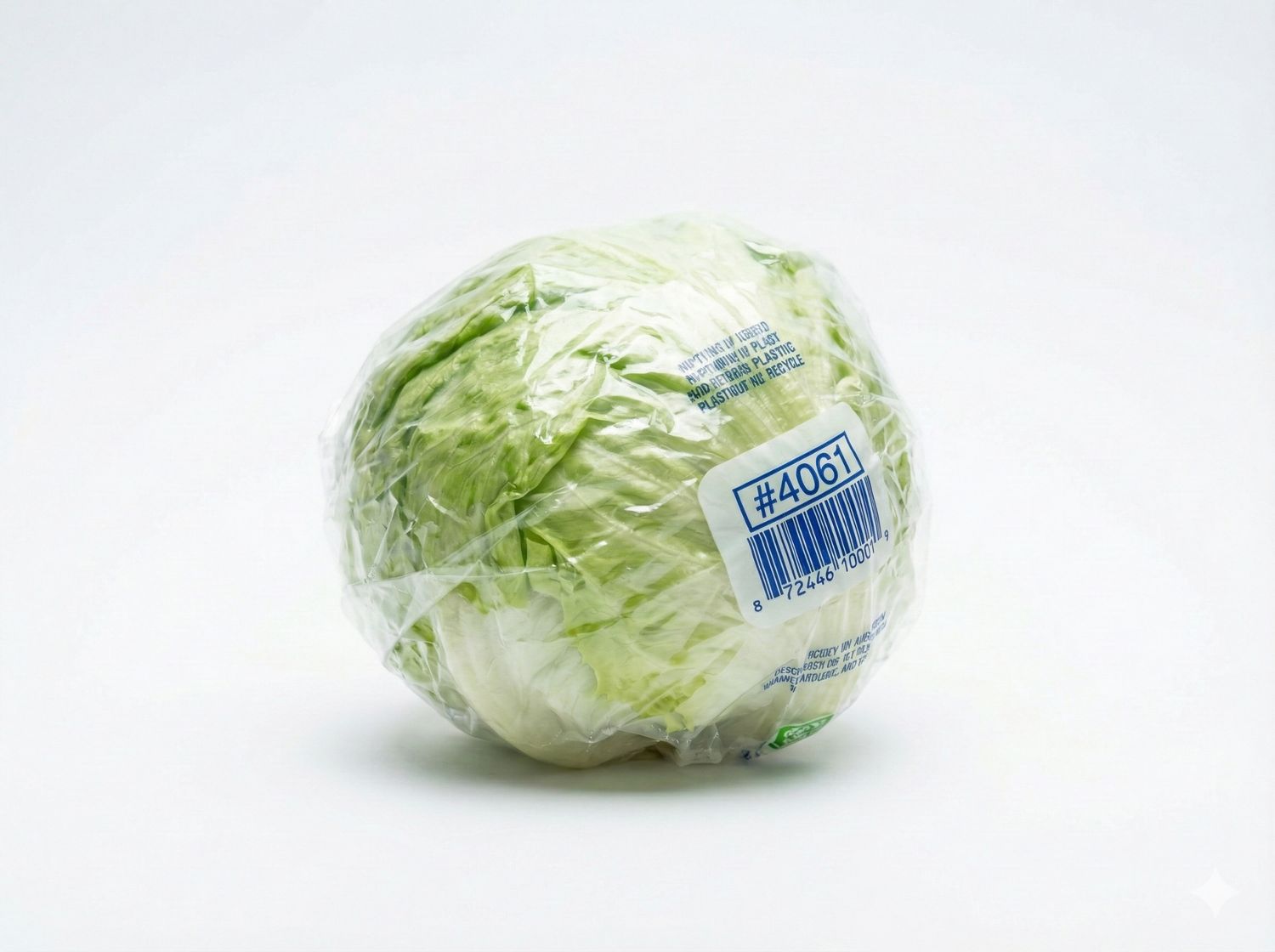 Lettuce