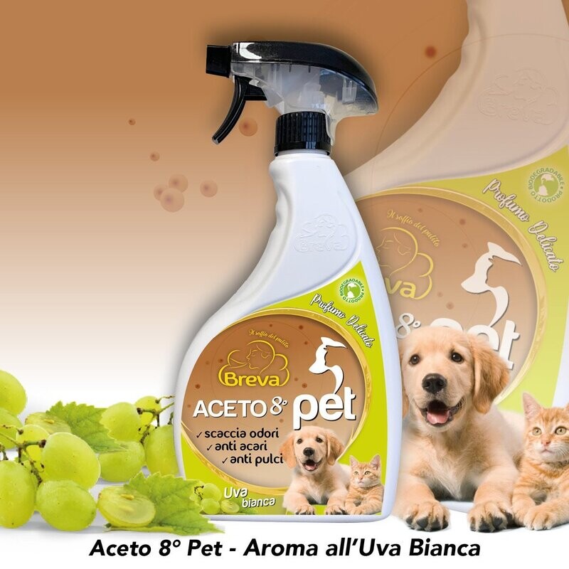 ACETO 8° PET PROFUMATO UVA BIANCA  700 ML (Conf. da 1/3/6/12 flaconi)