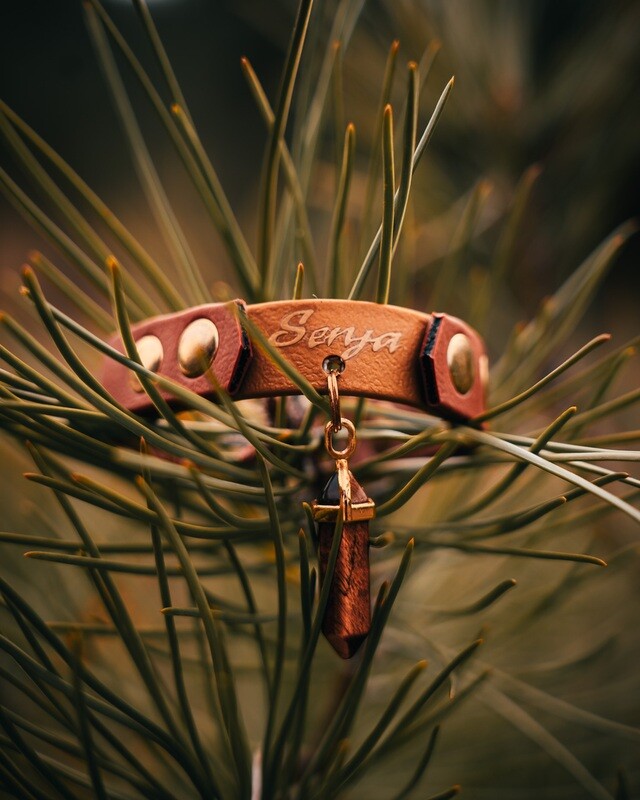 Collier Salem