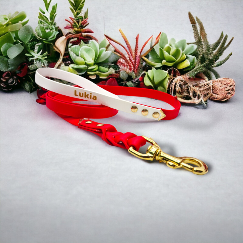 Laisse Yule