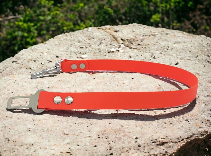 Ceinture de sécurité