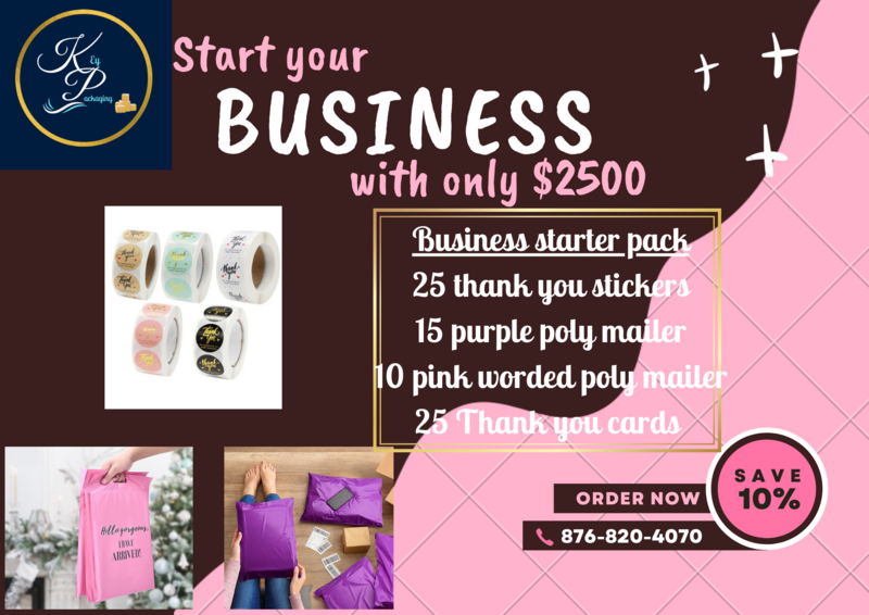 Business Starter Pack 2