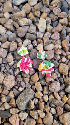 Colourful feather mini