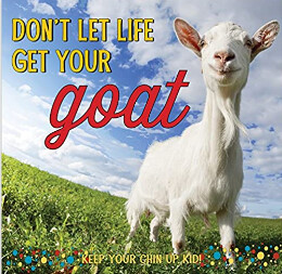 Book Dont Let Life Get Your Goat