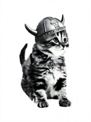 Lilleknappen Card Viking Kitty