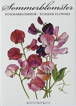 Cards Summer Flowers