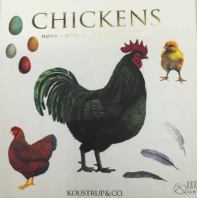 Notecards Chickens By Koustrup & Co