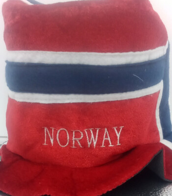 RMC Norway Adult Party Hat