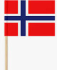 Toothpick Norwegian Flag 25 pack