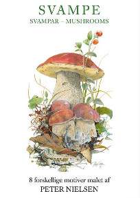 Note Cards Mushrooms