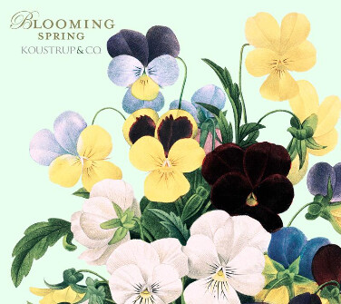 Note Cards Blooming Spring