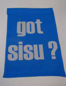 Garden Flag Got SISU