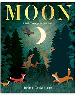 Moon - Teckentrup