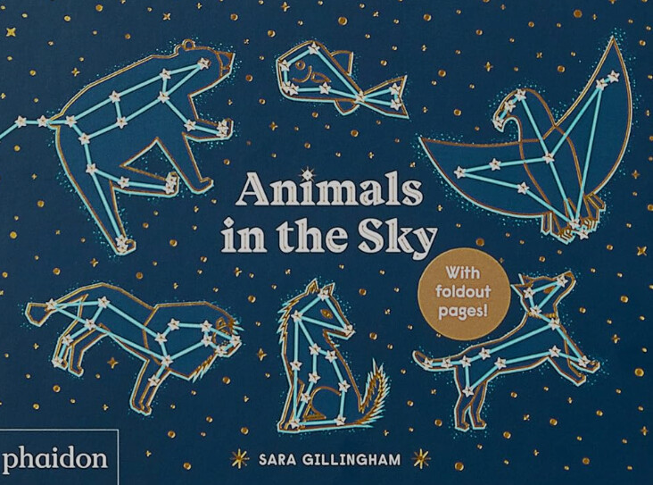 Animals In The Sky-Sara Gillingham