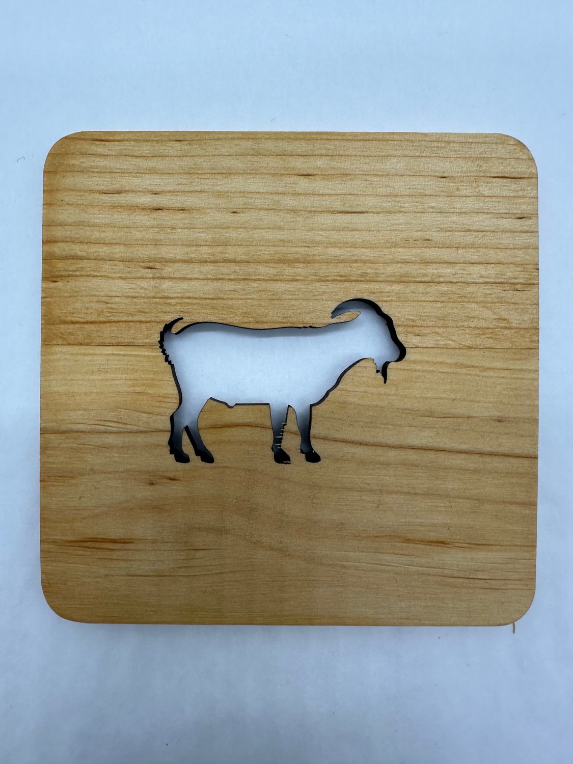 Alder Coaster Goat