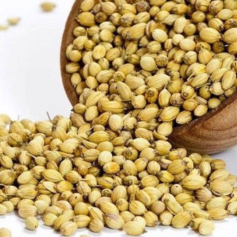 Coriander Whole(Sabit Dhanya) 1 kg