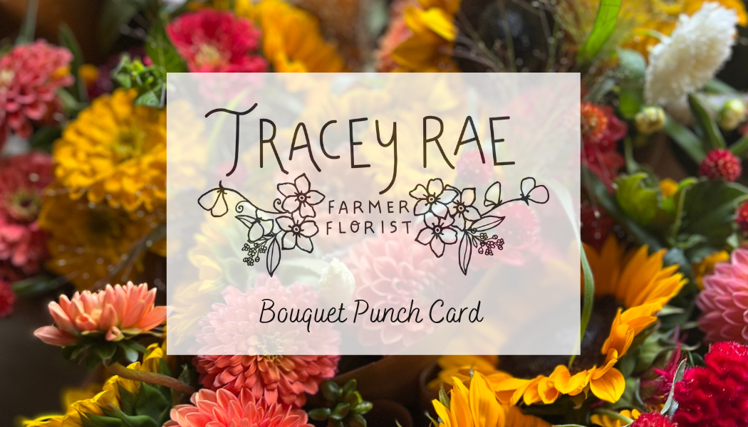 8 Week Summer Share/Punch Card