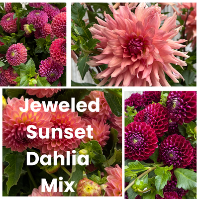 Jeweled Sunset Collection