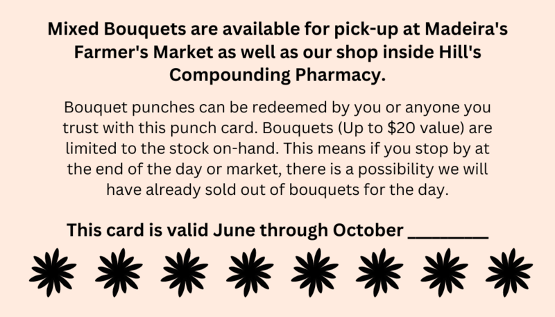 8 Week Summer Share/Punch Card