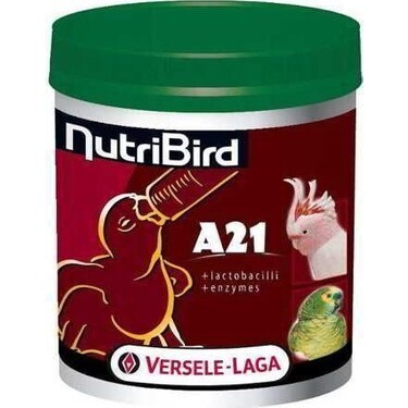 a21 parrot food