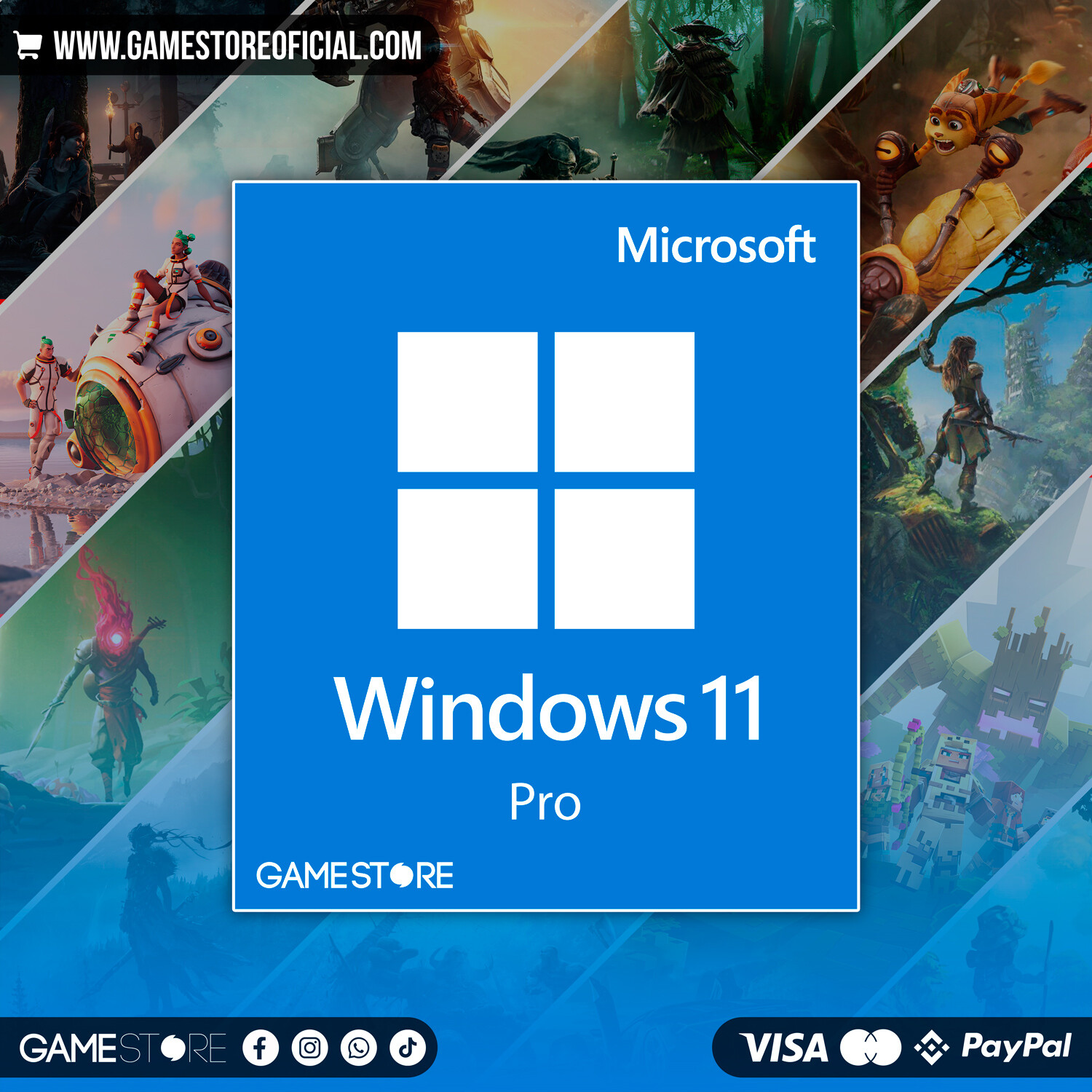 Windows 11 Professional